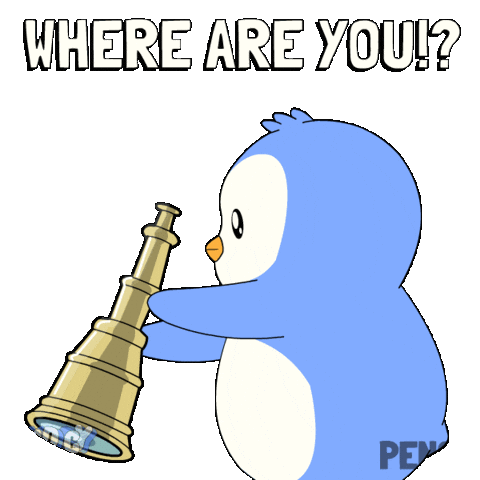 Confused Where Are You Sticker by Pudgy Penguins