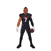 Point Up Atlanta Falcons Sticker by Panini America