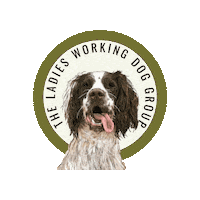 thelwdg spaniel gundog huntingdog gundogtraining Sticker