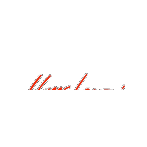 Race Speed Sticker by Leupimoto