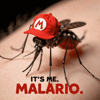 Mario Malaria GIF