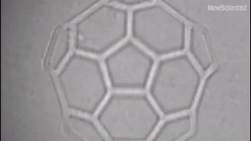 Buckyball-shaped scaffold makes stem cell tissue growth faster