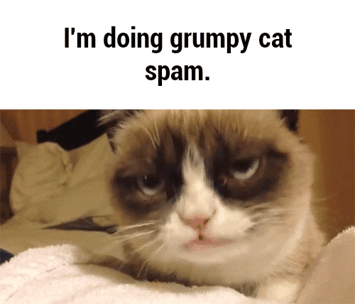 grumpy cat GIF