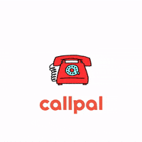 Call Center GIF by CallPal