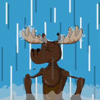 DoYouMoose giphyupload training train waiting GIF