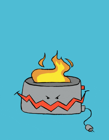 bezbrwiowiec giphyupload GIF