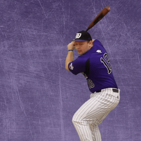 Baseball Wesleyan GIF by KWC Panthers