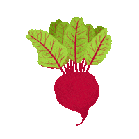 veggie vegetable Sticker