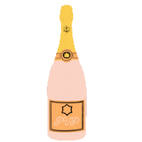 Champagne Pvp Sticker by Paige Vaughn Photo