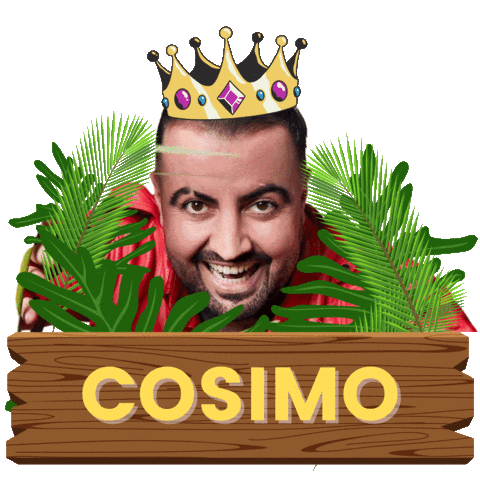 Ich Bin Ein Star King Sticker by NEVITALY