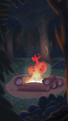 Fire in the woods