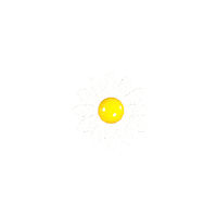 Fortune Teller Daisy Sticker