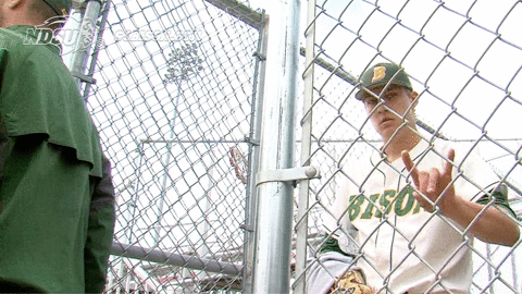 north dakota state baseball GIF by NDSU Athletics