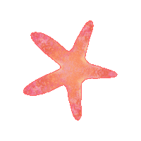 Ile Maurice Summer Sticker