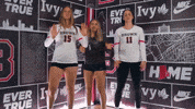 Raise The Roof GIF by Brown Volleyball
