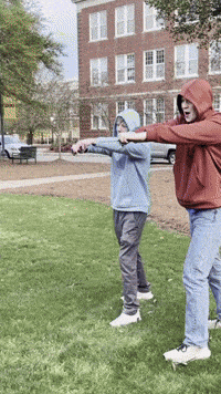Spin Blade GIF