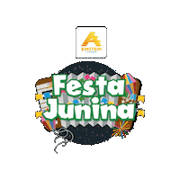 Festajunina Sticker by Colégio A. Einstein