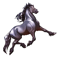 thais-illustration animation horse stickers cheval Sticker