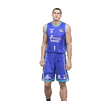 Celebrar Liga Endesa Sticker by ACB