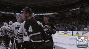 ice hockey sport GIF by NHL