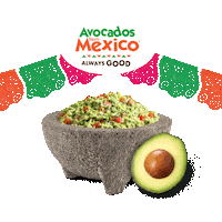 Cinco De Mayo Fun Sticker by Avocados From Mexico