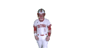 Bigrednation Sticker by Ooltewah Owls
