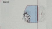Thomasgreiss GIF by New York Islanders
