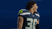 National Football League GIF by Seattle Seahawks