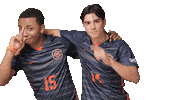 Cnms Sticker by Carson-Newman Athletics