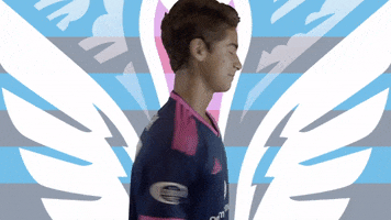 Usl League One Soccer GIF by Tormenta FC