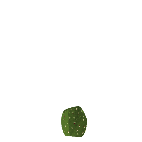 larapaulussen giphyupload nature plant cactus Sticker