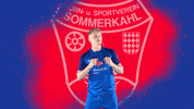Football Header GIF by TuS Sommerkahl