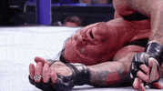wrestlemania xxvii wrestling GIF by WWE