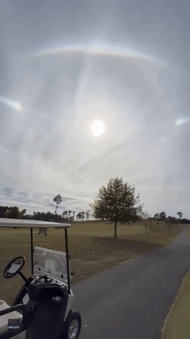 Several Types of Sun Halos Observed in Alabama Sky