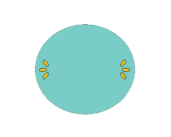 parcodeltapo giphyupload nature bird bike Sticker