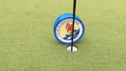 petrossian goal golf target caviar GIF