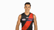 essendonfc dons bombers essendon essendon fc GIF