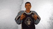 GIF by Milwaukee Admirals