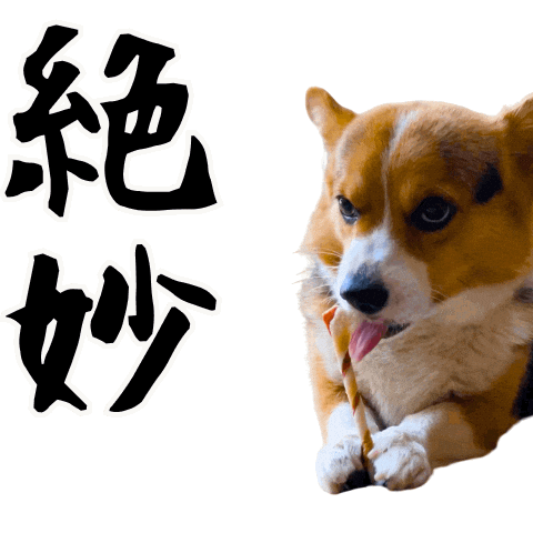 Corgi Wow Sticker