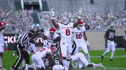 RFootball chop rutgers rutgers football rfootball GIF