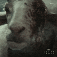 Screaming Ridley Scott GIF by Alien: Earth