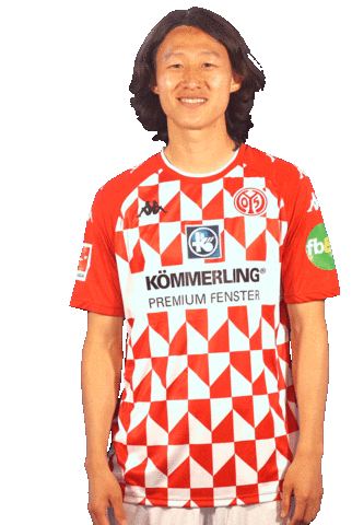 Bundesliga Hallo Sticker by 1. FSV Mainz 05