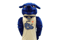 Sticker by Ontario Tech Ridgebacks