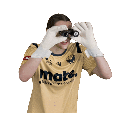 Football Soccer Sticker by Melbourne Victory FC