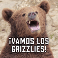 ¡Vamos Los Grizzlies!