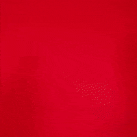 ladyraiderwbb chantae embry GIF