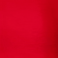 ladyraiderwbb chantae embry GIF