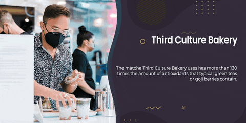 thirdculturebakery giphygifmaker giphyattribution GIF