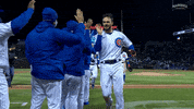 Cubs GIF by Marquee Sports Network