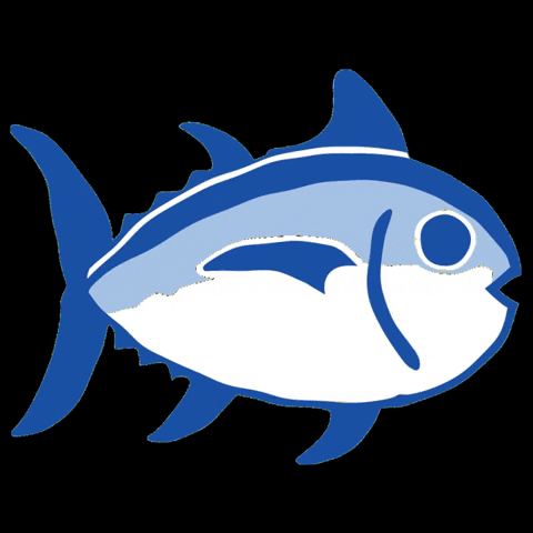 southerntide fish southerntide skipjack followthetide GIF